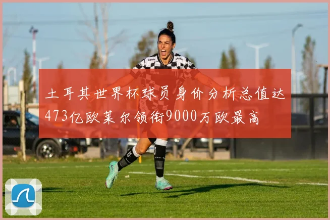 土耳其世界杯球员身价分析总值达473亿欧莱尔领衔9000万欧最高
